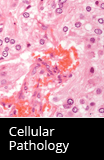 Cellular Pathology