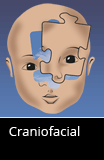 Craniofacial