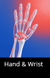 Hand and Wrist